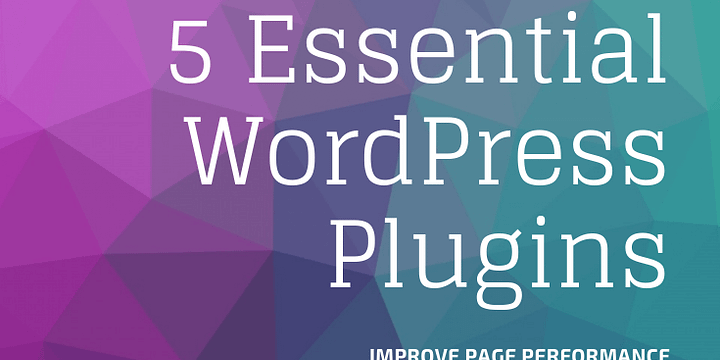 Wordpress Plugins to improve page performance, theme development and debugging