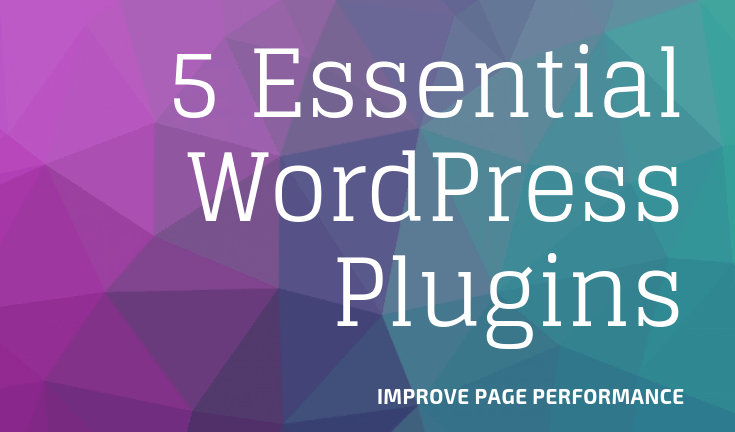 Wordpress Plugins to improve page performance, theme development and debugging